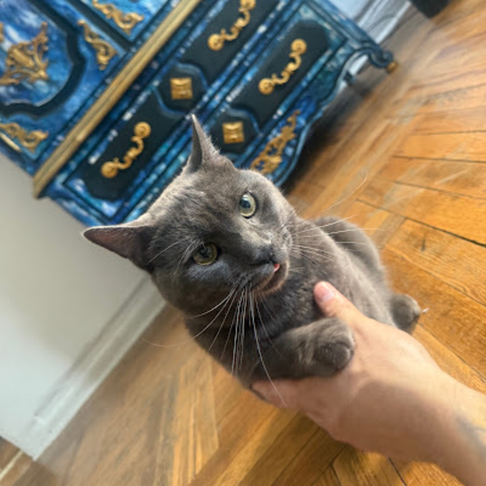 Meet your Posher, Danny